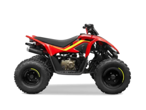 CFMoto CForce 110